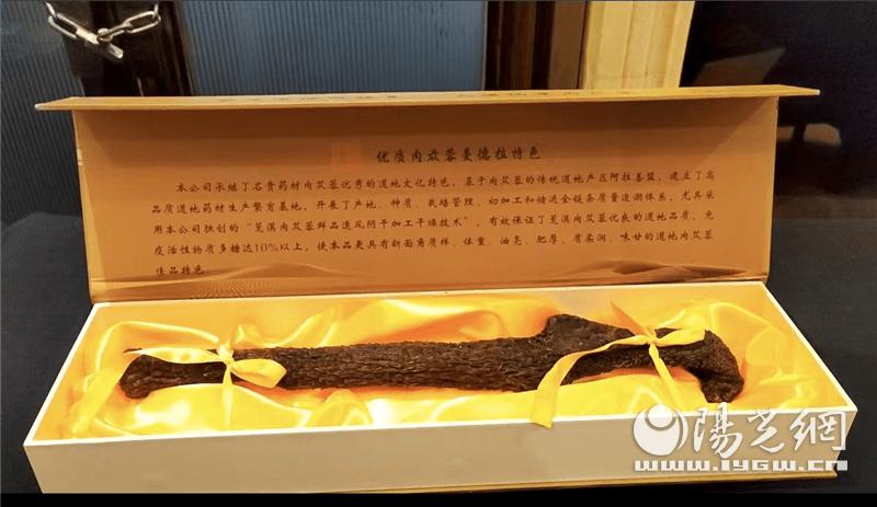 第六届丝博会"阿拉善盟专题推介会"精彩纷呈